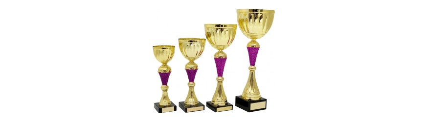 GOLD METAL CUP AND COLOURED RISER AVAILABLE IN 4 SIZES GOLD METAL CUP AND COLOURED RISER AVAILABLE IN 4 SIZES